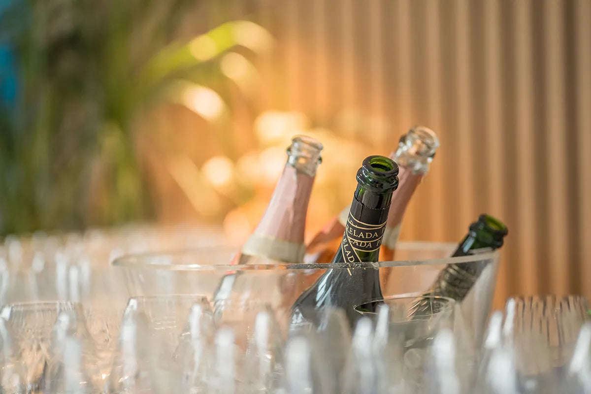Sekt und Champagner Schaumwein als Aperitif