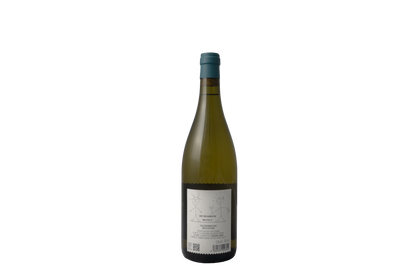 Sauvignon Blanc von Alten Reben 2024